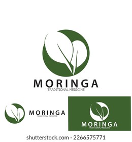 moringa leaf tradicional medicine icon vector illustration template design
