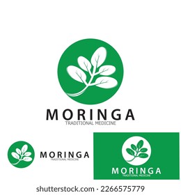 moringa leaf tradicional medicine icon vector illustration template design