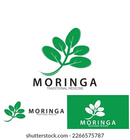 moringa leaf tradicional medicine icon vector illustration template design