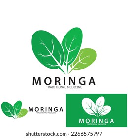 moringa leaf tradicional medicine icon vector illustration template design