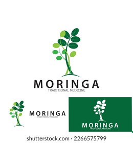 moringa leaf tradicional medicine icon vector illustration template design