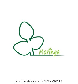 Moringa leaf vector template illustration