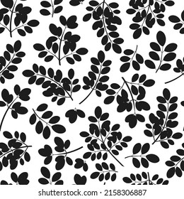 Moringa. Leaves and branches. Seamless pattern. Black silhouette on a white background.