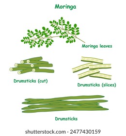 Hojas de moringa y palillos cortados y rebanados aislados sobre un fondo blanco. 