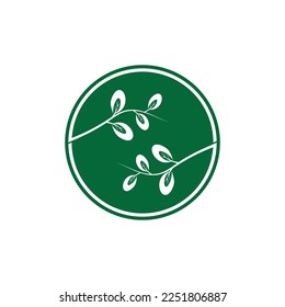 Moringa-Blätter-Symbol Vektorgrafik-Template-Design