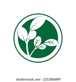 moringa leaves icon vector illustration template design