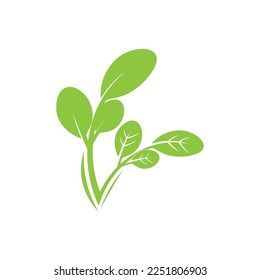 moringa leaves icon vector illustration template design