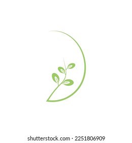 Moringa-Blätter-Symbol Vektorgrafik-Template-Design