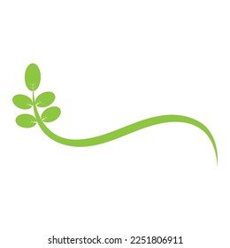 moringa leaves icon vector illustration template design