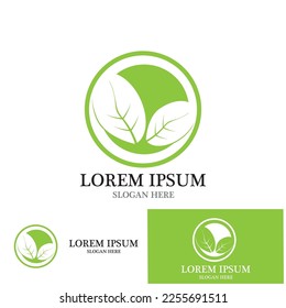 diseño de la ilustración del vector de la moringa de hojas de iconos