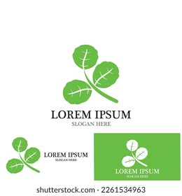 moringa leaves icon vector illustration template design
