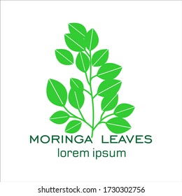 Moringa logo design vector template