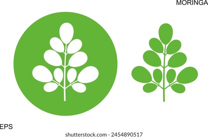 Moringa logo. Isolated moringa on white background