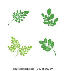 Moringa logo vector template symbol nature