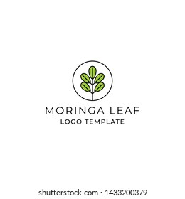 Moringa oleifera Leaf Logo Template