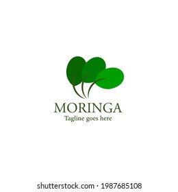 Moringa oleifera Leaf Logo Template