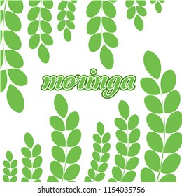 Moringa Plant background banner teamplate