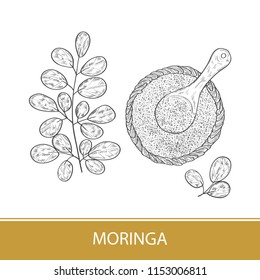 Moringa. Plant. Leaves, powder, spoon. Sketch. Set. Monochrome