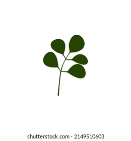 Moringa. Plant. Logo, Emblem, Symbol, Symbol.