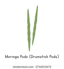 Pods de moringa (pods de baqueta) Ilustração plana do vetor do desenho animado isolada no fundo branco