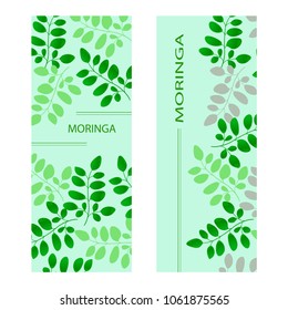 Moringa. Template, postcard. Set.