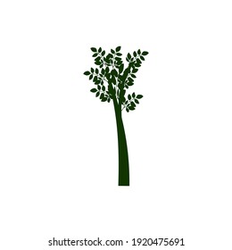 Inspiraciones en el diseño del logo de un árbol moringa