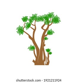Inspiraciones en el diseño del logo de un árbol de moringa.