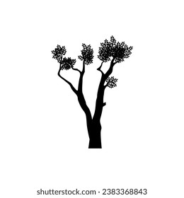 Moringa Tree Logo Design Inspirations. old moringa tree with parasites in some branches