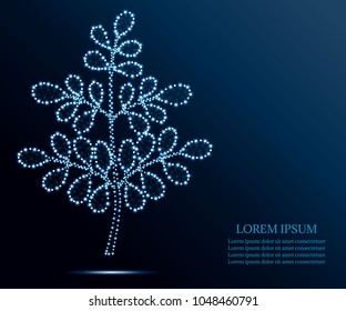 Moringa tree, wireframe concept. Plant from polygons, lines and triangles, point (dots) connecting network on blue sky background. Polygonal low poly design illustration. 