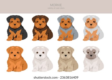 Morkie clipart. Maltese Yorkshire terrier mix. Different coat colors set.  Vector illustration