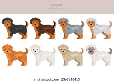 Morkie clipart. Maltese Yorkshire terrier mix. Different coat colors set.  Vector illustration