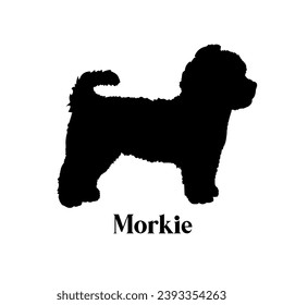 Morkie Dog silhouette dog breeds logo dog monogram logo dog face vector