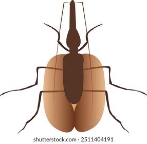 Mormolyce phyllodes, commonly known as the violin beetle, is a species of ground beetles in the subfamily Lebiinae.