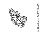 mormon metalmark insect isometric icon vector. mormon metalmark insect sign. isolated symbol illustration