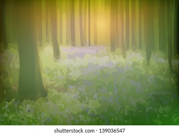 Morning in the forest