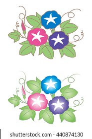 Morning Glory (2 set)