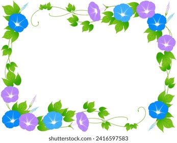 Morning glory box vector illustration