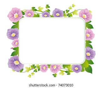morning glory card