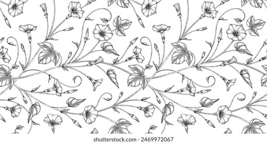 patrón floral de la gloria de la mañana ilustración en blanco y negro