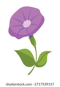 Gloria de la mañana Flor. Clipart de Vector plano, ilustración con fondo aislado.