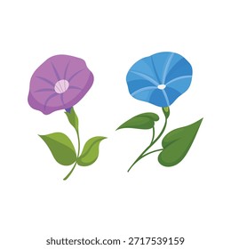 Gloria de la mañana Flor. Clipart de Vector plano, ilustración con fondo aislado.