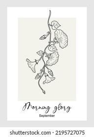 Morning ruhmreichen Blumenlinie Kunst Vektorgrafik. Petunia handgezeichnet botanische schwarze Tintenskizze. Geburt Monat September Blume für Wandkunst, Schmuck, Tätowierung, Logo, Verpackungsdesign.