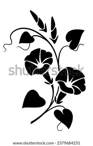 Morning glory flowers branch. Black silhouette of morning glory flowers (bindweed) isolated on a white background. Vector black and white illustration. Handmade illustration, not AI Stockfoto © 