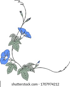 Morning glory flowers and leaves illustration frame