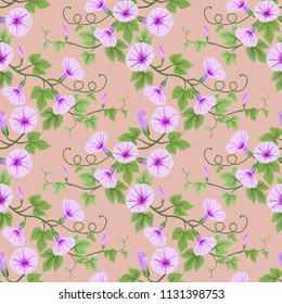 Morning glory flowers seamless pattern.