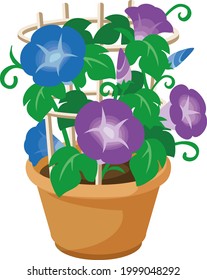 Morning glory, Japanese summer traditional icon illustration vector image
