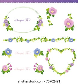 morning glory set