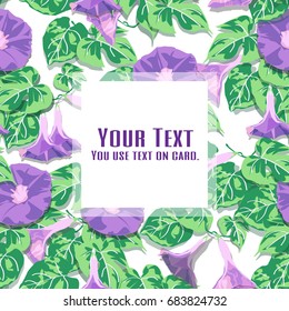 Morning Glory in the spring. violet flower design for card, seamless, pattern and background. Vector illustration.