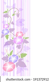 morning glory with stripe pattern