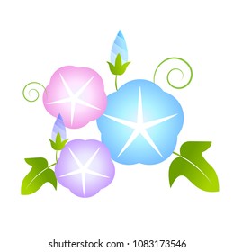 Morning glory summer flower icon